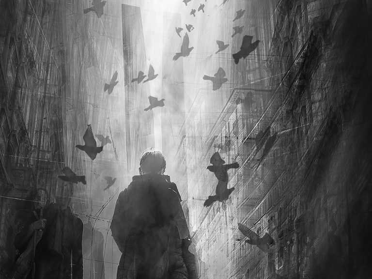 web