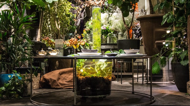 Progetto-Cenote- Corpi-viventi-in-simbiosi-about-bologna-guida-eventi-bdw2019