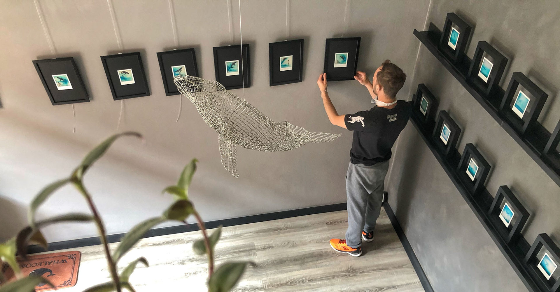 Greenwhale-bolognina-mostra