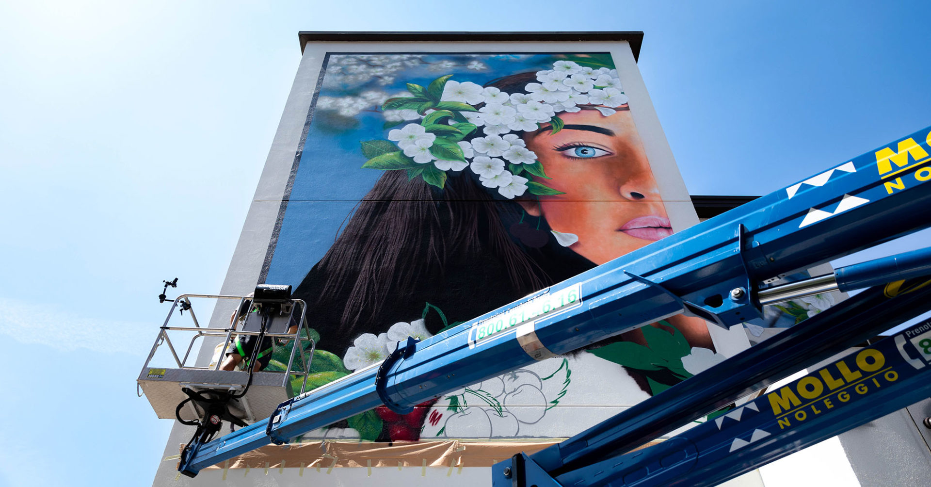 Fabbri murales copertina