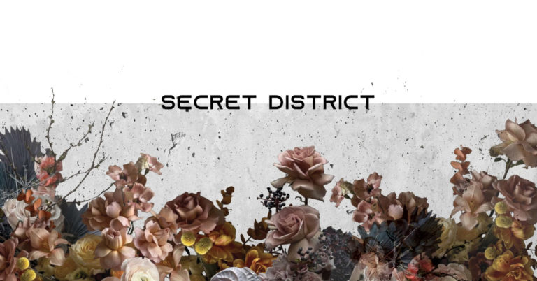 Secret District copertina