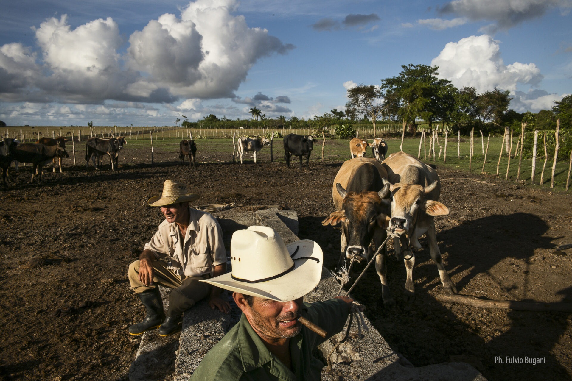 Bugani – Guajiro