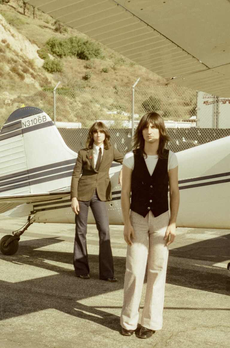 the lemon twigs