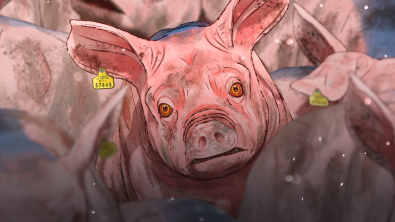 Stills_PigFMD_01 copia